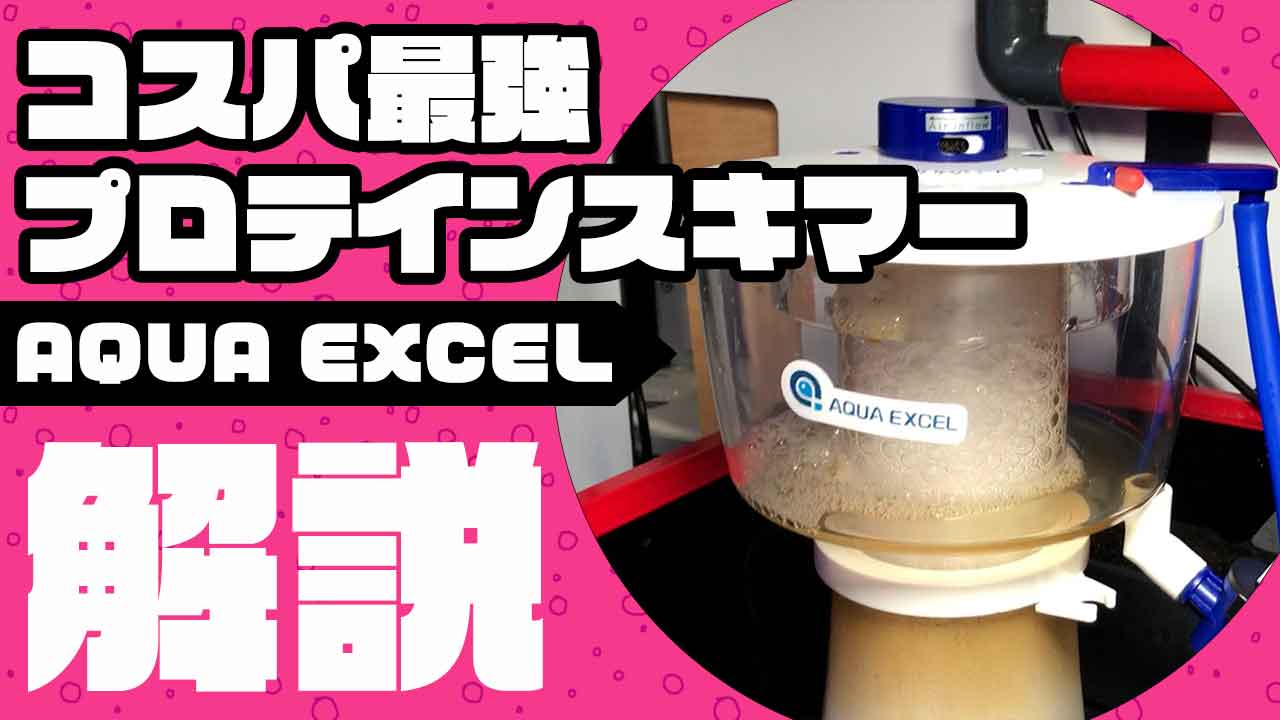 アクアギフトオリジナル プロテインスキマー AQUA EXCEL徹底解説 – アクアギフト