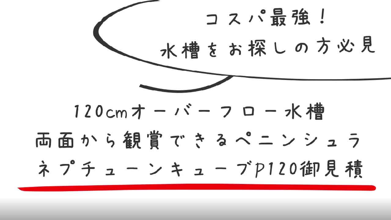 120cmオーバーフロー水槽 ペニンシュラタイプセット価格 – アクアギフト