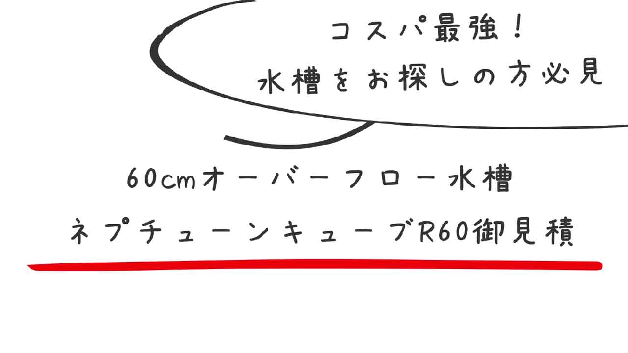 60cmオーバーフロー水槽のお見積り公開 – アクアギフト